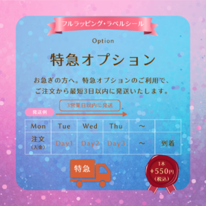 【フルラッピング・ラベルシール用】特急オプション
